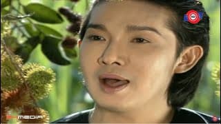 Vũ Linh Tài Linh - Giọt Nước Mắt